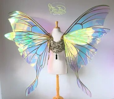 Luna Moth Giant Triple Panel Fairy Wings Back Giant Luna M. 