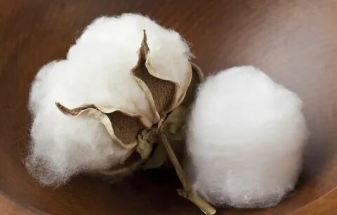 What To Do With Cotton Balls - 7 Practical Ideas