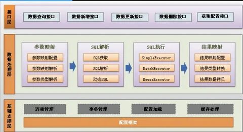 mybatis 妙 蛙 种 子 bibi 的 博 客-CSDN 博 客