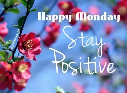 Happy Monday Stay Positive monday monday quotes happy monday