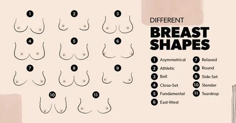 Different shapes of boobs and which shape is the best