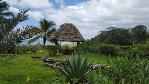 Beach hut among tropics in zanzibar free image download