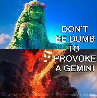 Gemini is definitely the one to mess with #gemini #gemini #g