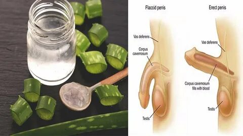 10 Surprising Health Benefits Of Aloe Vera Aloe Vera Gel Use