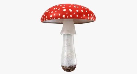 Realistic mushrooms amanita 01 3D model - TurboSquid 1365345