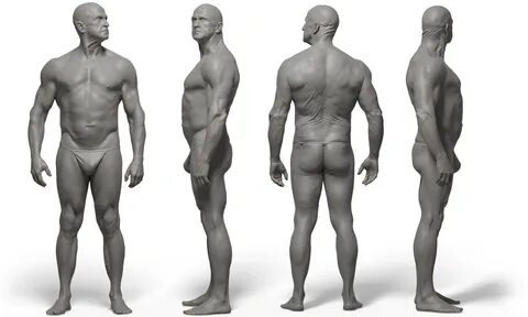 Male 05 Anatomy Reference Pose Pack