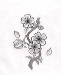 Blossom Flower Sketch - Same Day Flower Delivery
