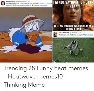 🇲 🇽 25+ Best Memes About Funny Hot Weather Meme Funny Hot We
