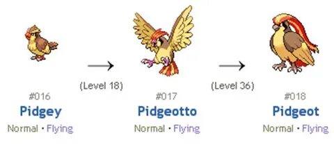 TOP 5 "em" Pokémon dễ bắt nhưng "không phải dạng vừa đâu"