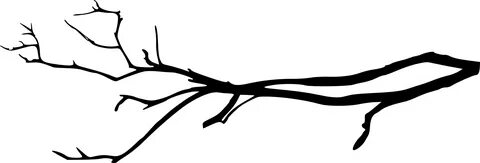 tree limb png - Free Download - Tree Branch Silhouette Png #