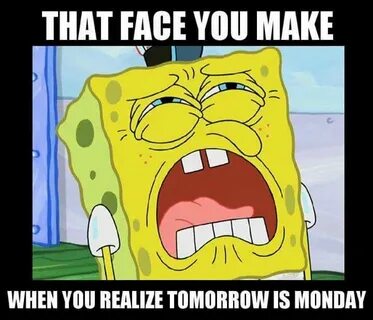 Pretty accurate! Funny spongebob memes, Funny memes, Funny r