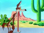 Looney Tunes Pictures: "Fast and Furry-ous" Coole cartoons, 