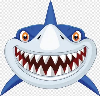 Shark Smile Jaws - Transparent Background Shark Clipart - 45