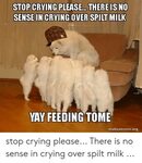 🐣 25+ Best Memes About Crying Dog Meme Crying Dog Memes