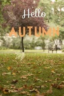 Be Organised! Hello autumn, Autumn, Autumn inspiration