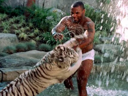 Mike Tyson Chokes Bengal Tiger in Throwback Photo - Essentia