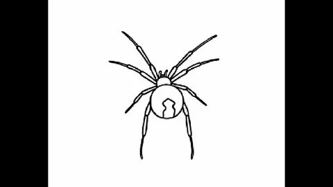 how to draw easy Black widow spider pencil drawing step by s