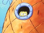 Spongebob Peek Window Memes - Imgflip