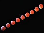 File:3–4 March 2007 Total Lunar Eclipse (49316509383).jpg - 