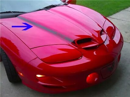 98-02 Firebird Ram Air Hood Scoop Stripes: GTOG8TA.COM - Pon