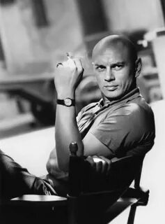 Actor Yul Brynner Actrice, Portraits de célébrités, Célébrit