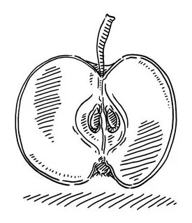 Drawing Of Apple Core Сток видеоклипы - iStock