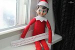 10 Excuses For When Your Elf Forgets To Move Elf on the shel