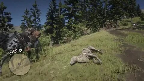 Red Dead Redemption 2: Rotting Wolf Carcass - YouTube