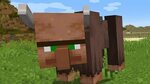 50 Things You Didn't Know About Minecraft 1.14 Update - YouT