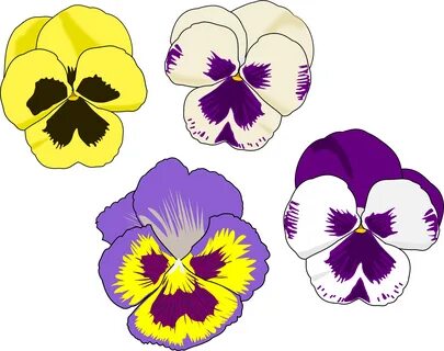 Pansy Clipart - Pansy Flower Clip Art - (2400x1898) Png Clip