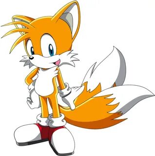 Tails The Fox - Tails The Fox En Sonic X - (891x897) Png Cli