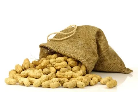 Burlap Bag with Roasted Peanuts Stock Photo - Image of burla
