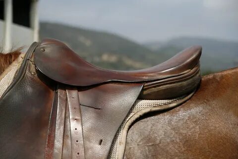 horse saddle set-Picture:cgjcegabjh