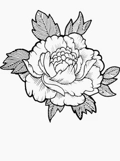 Japanese Flower Drawing at GetDrawings Free download