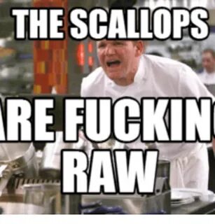 ✅ 25+ Best Memes About Gordon Ramsay Its Raw Gordon Ramsay I