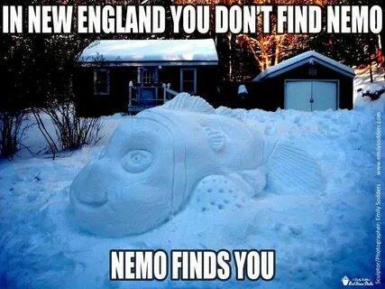 snow meme Snow Storm Nemo Meme by emilysodders on deviantART