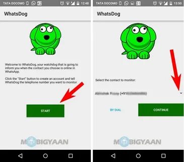 How To Show Offline In Whatsapp When I Am Online - What if l