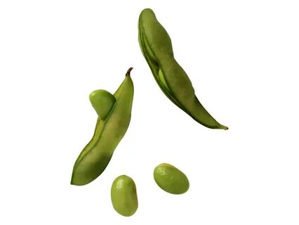 Lima Beans PNG Picture, Transparent Png Image - PngNice