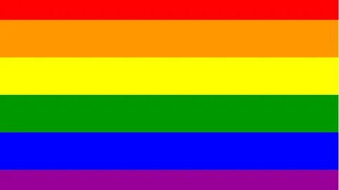 Free download The National Lesbian Gay Bisexual Transgender 
