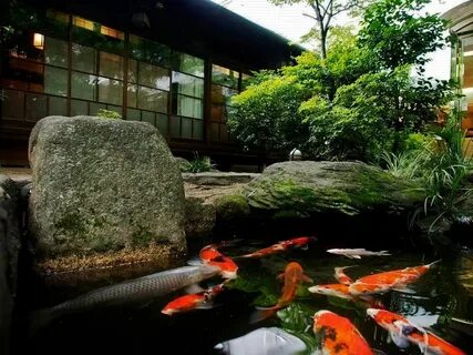 Koi Pond Wallpapers posted by Ryan Mercado
