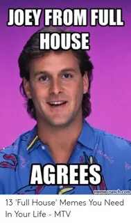 JOEY FROM FULL HOUSE AGREES Memecrunchcom 13 'Full House' Me