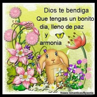 Frases Romanticas: dios te bendiga Que tengas bonito dia, Ov