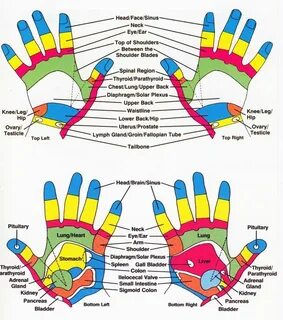 reflexology ... of Foot Hand Ear Reflexology to be offered a