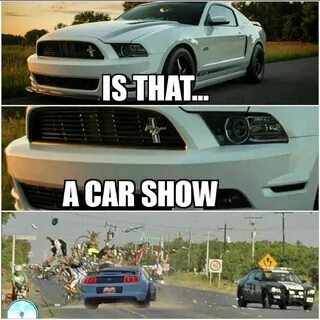 Funny mustang Memes