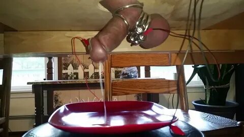 Our milking table - 5 Pics xHamster