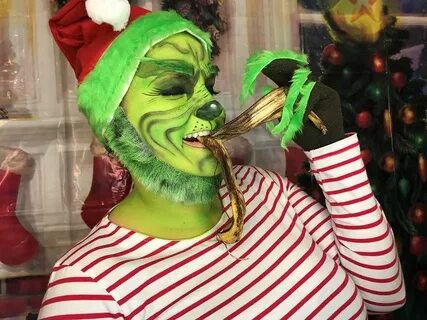 Easy DIY Grinch Costume Grinch costumes, Grinch, Christmas f