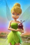 Pin by Bernadette Chamberlin on Kids Disney fairies, Tinkerb