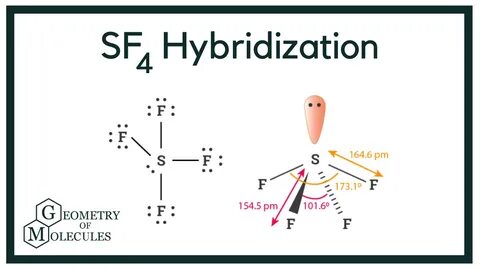Hybridization of SF4 (Sulfur Tetrafluoride) Molecules, Under