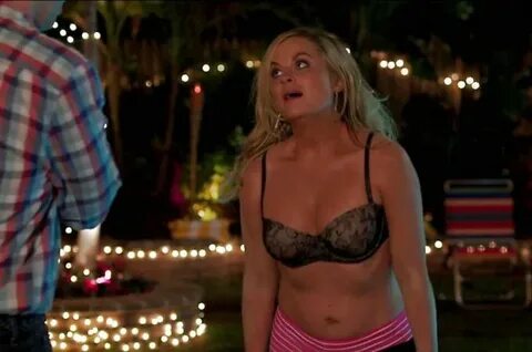 Amy Poehler Nude Photo Collection - Fappenist