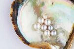 Freshwater vs. Akoya Pearls: Which Type of Pearls are the Be